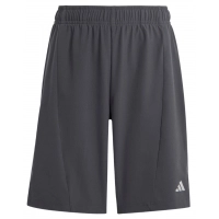 Шорты Adidas Training Aeroready